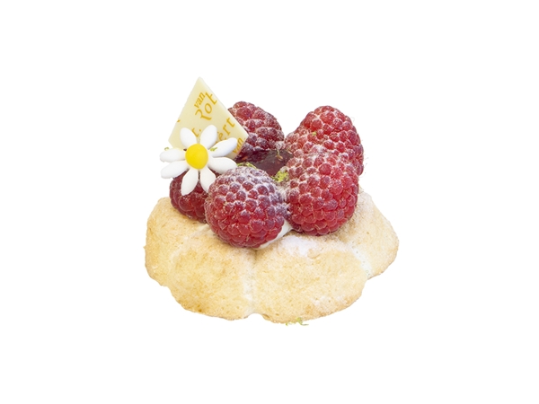 TerraVie en framboises