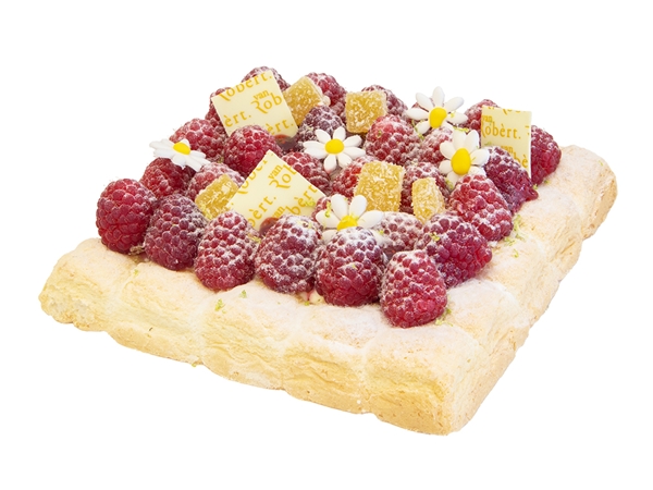 TerraVie en framboises 6-p