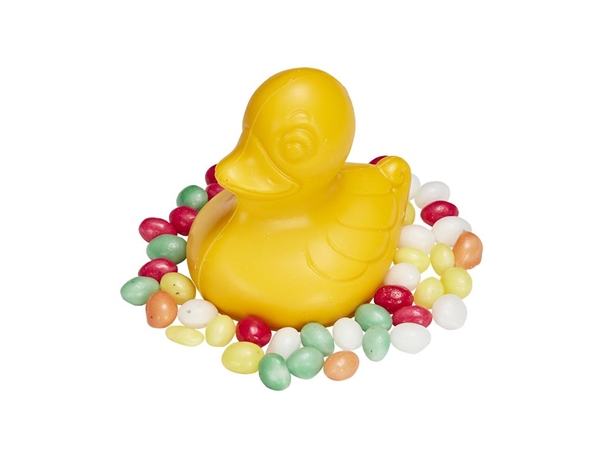 Chocoladebadeend mini